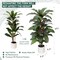 4 ft artificial dracaena plant with white planter, featuring a realistic faux yucca style design, ideal as a silk floor plant for indoor or outdoor use, perfect for home and office décor and a great housewarming gift